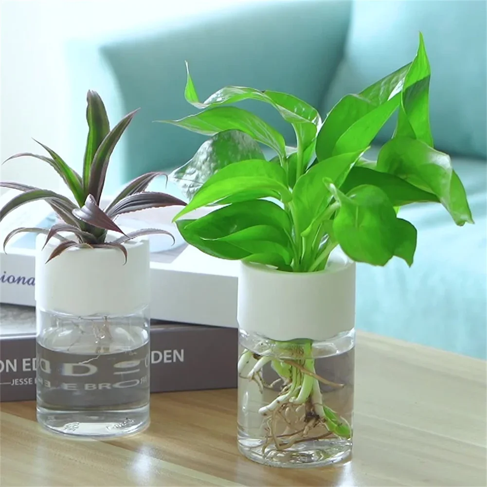Aloe Vera Pot - Mini Vaso Hidropônico Transparente para Plantas