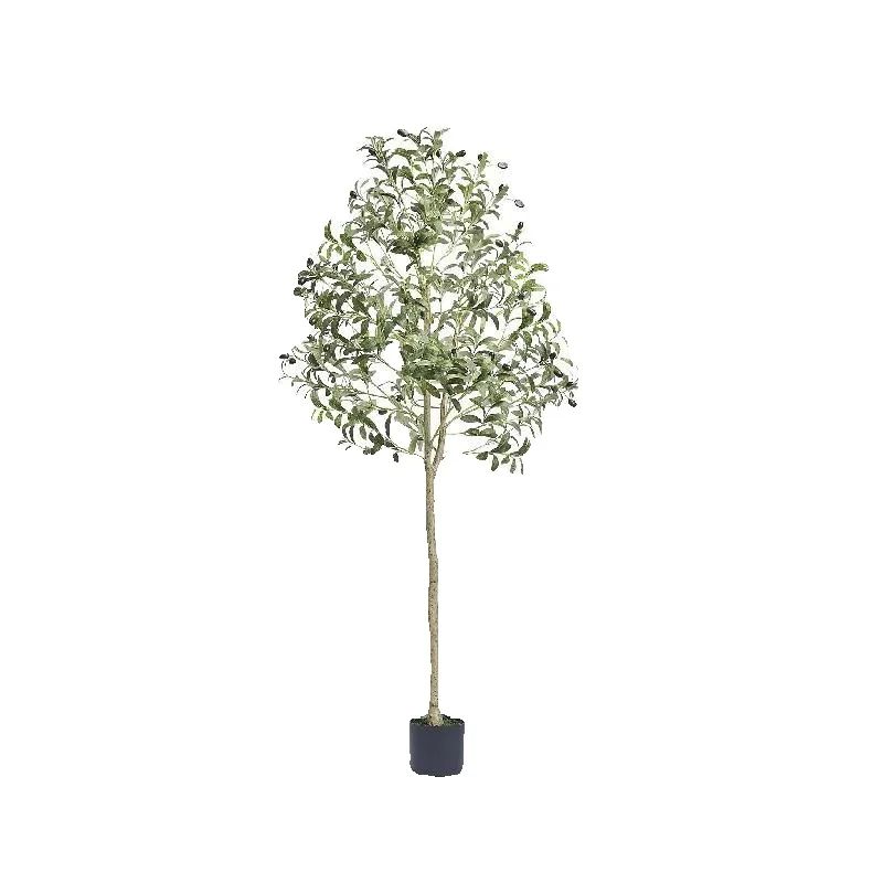Dracaena Marginata - Aceebuy oliveira artificial 4/5/6 pés de