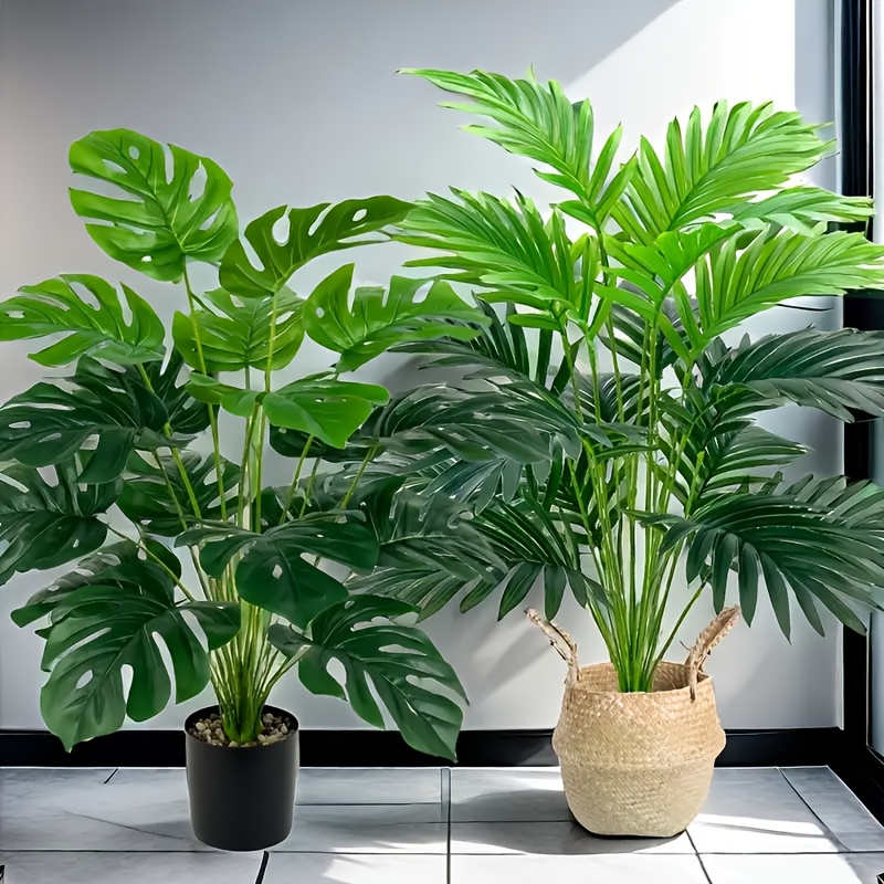 Monstera Adansonii - 2 pçs verde 24 folhas plantas