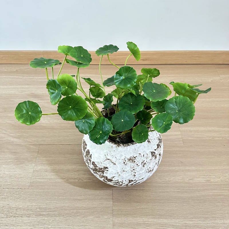 Pilea Peperomioides - 2 peças de folhas artificiais de