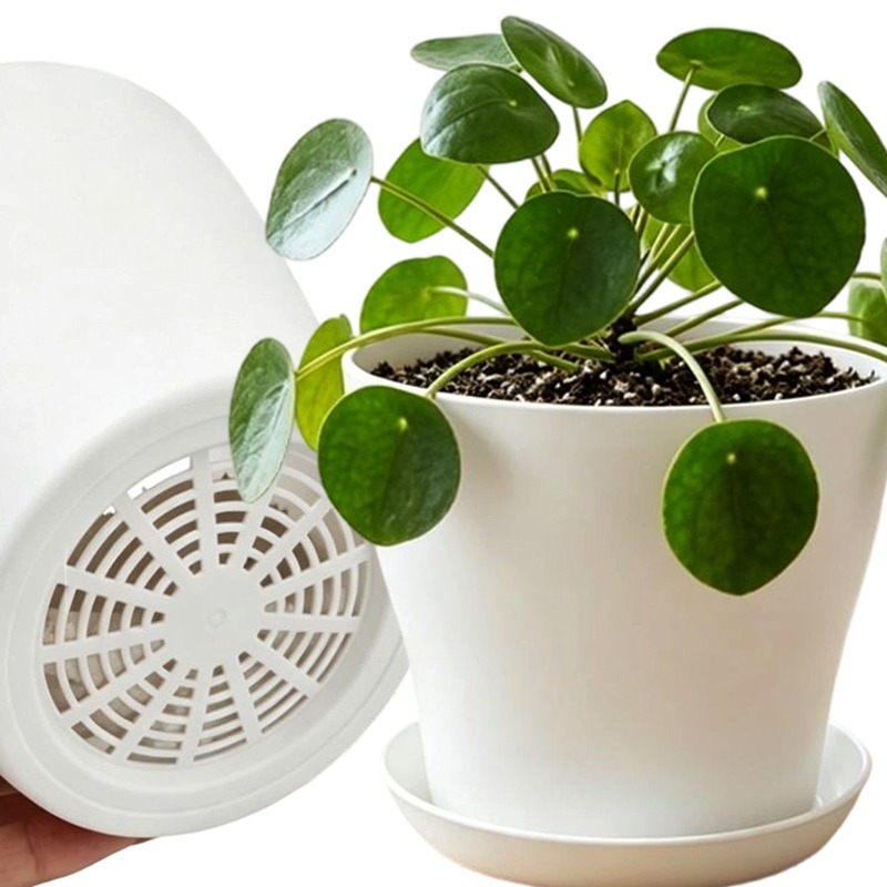 Aloe Vera Pot - Conjunto de Vasos com Furos de