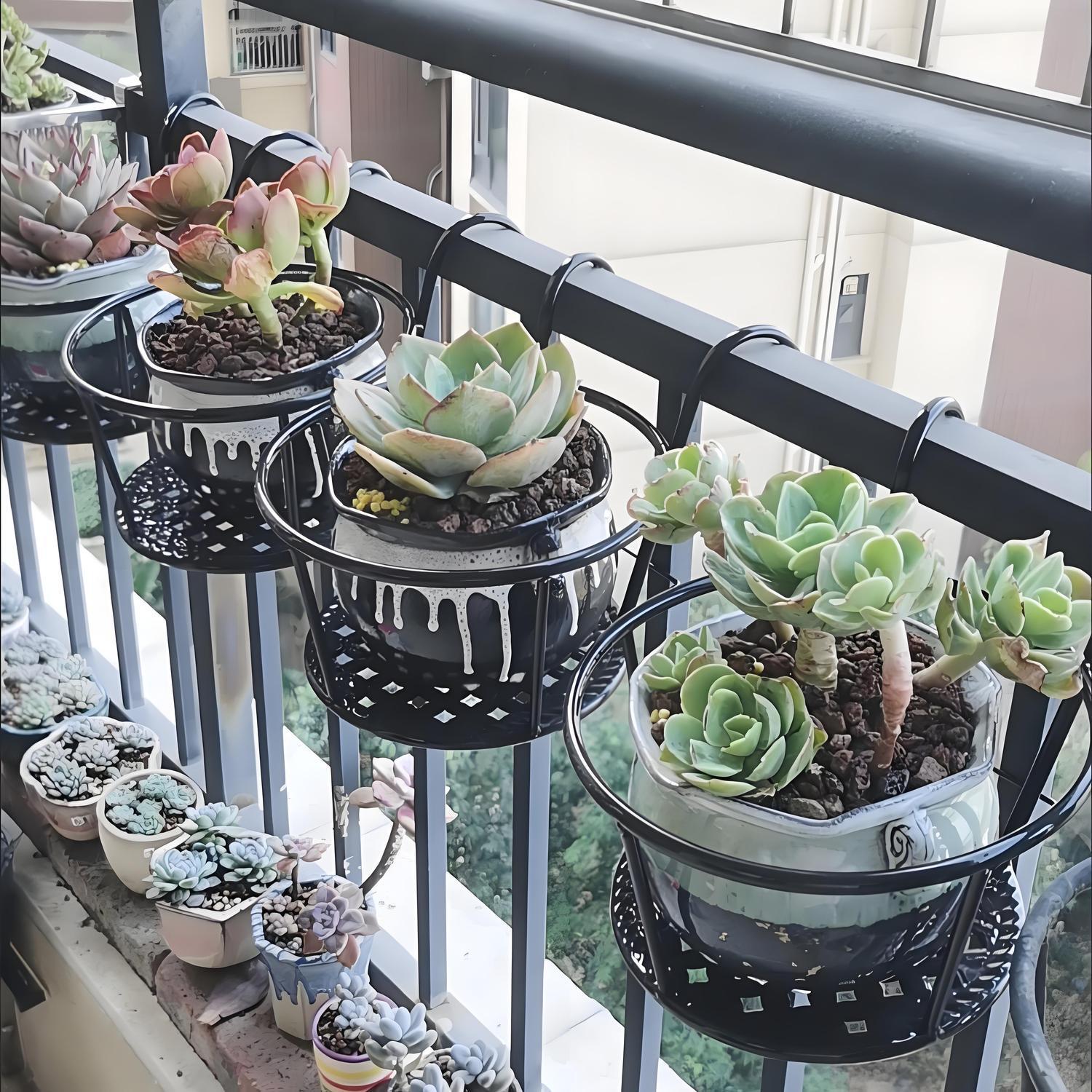 Suporte de Ferro Forjado para  - Spider Plant Hanging avaliação e preço
