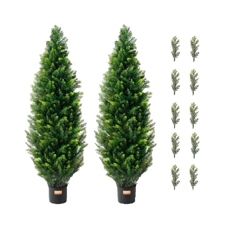 SucceBuy Árvore Topiária de Ce - Dracaena Marginata avaliação e preço