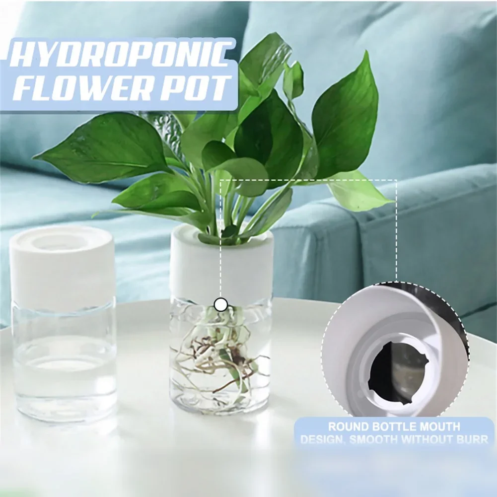 Mini Vaso Hidropônico Transpar - Aloe Vera Pot avaliação e preço