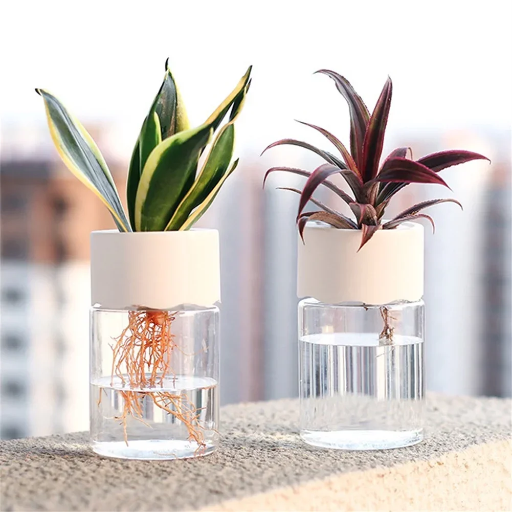 Mini Vaso Hidropônico Transpar - Aloe Vera Pot avaliação e preço
