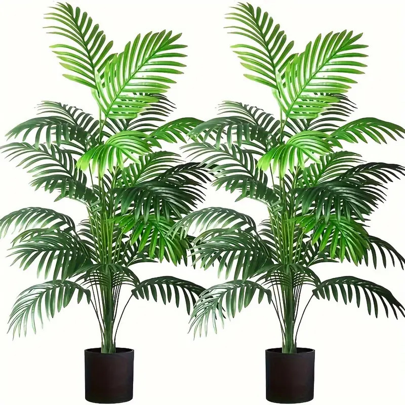 24 folhas areca palma plantas  - Dracaena Marginata avaliação e preço