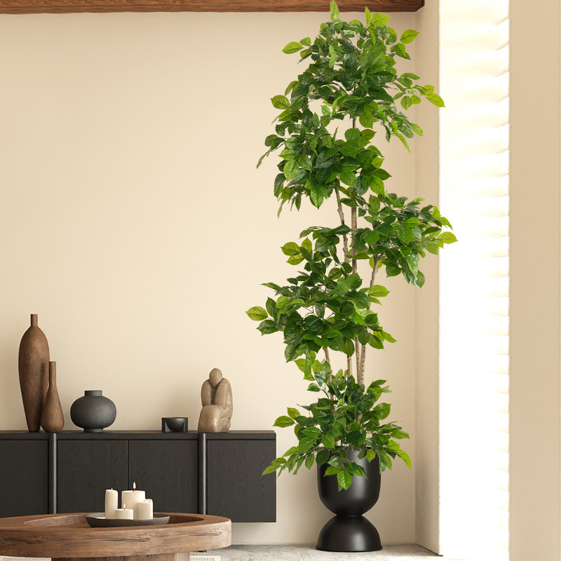 2-78in grandes plantas falsas  - Dracaena Marginata avaliação e preço