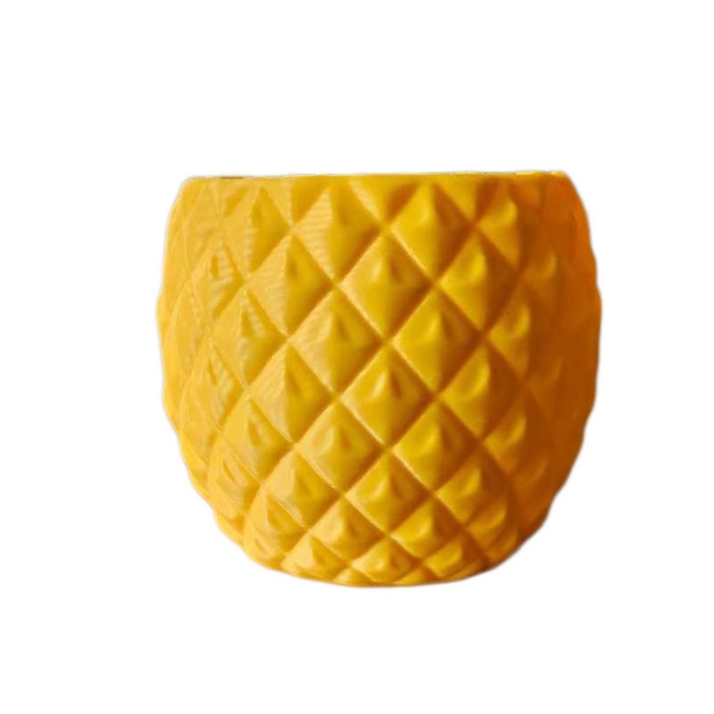 Vaso de Plástico para Frutas e - Echeveria Succulent avaliação e preço