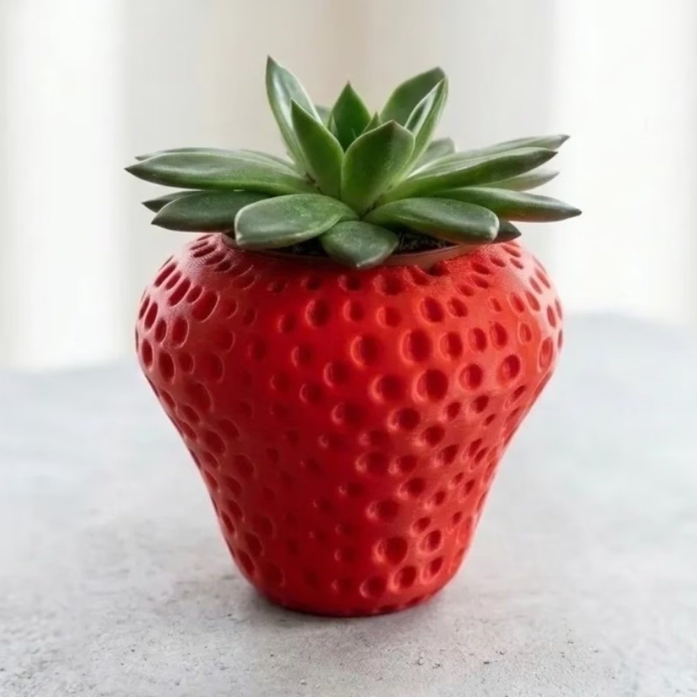 Vaso de Plástico para Frutas e - Echeveria Succulent avaliação e preço