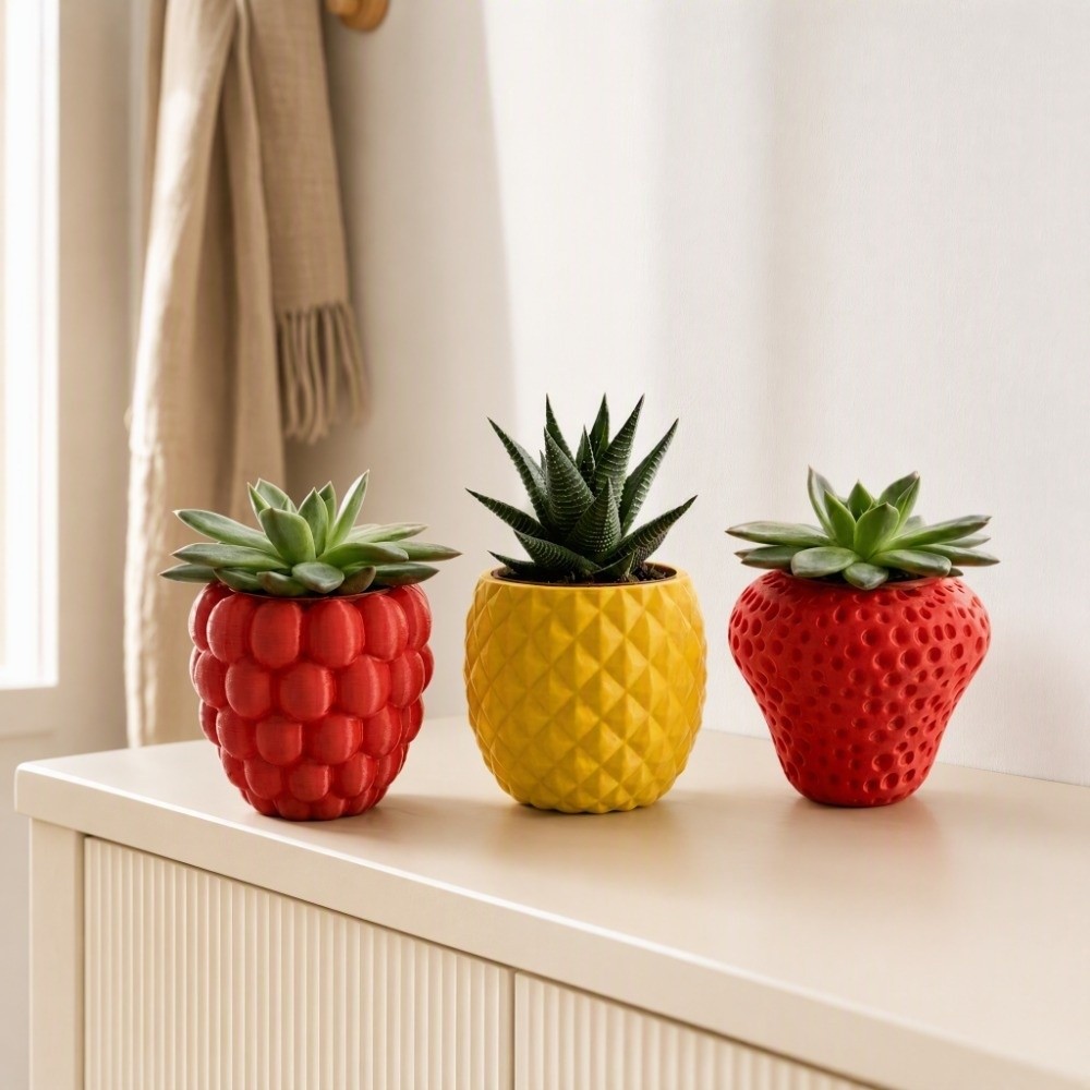 Vaso de Plástico para Frutas e - Echeveria Succulent avaliação e preço