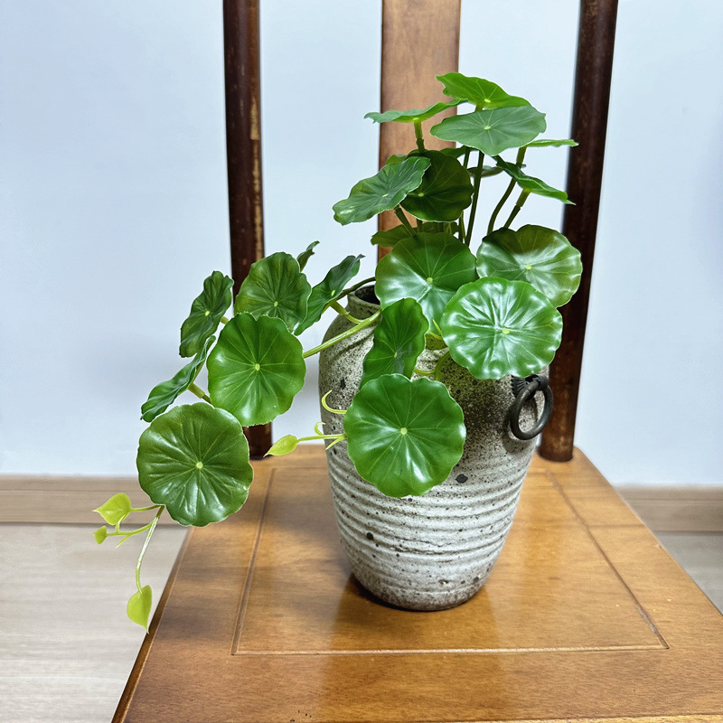 2 peças de folhas artificiais  - Pilea Peperomioides avaliação e preço