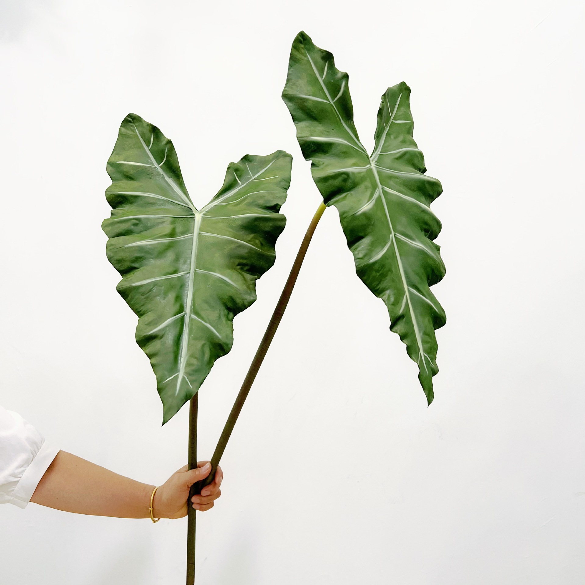 Simulado longo pu mão-sensa pl - Dracaena Marginata avaliação e preço