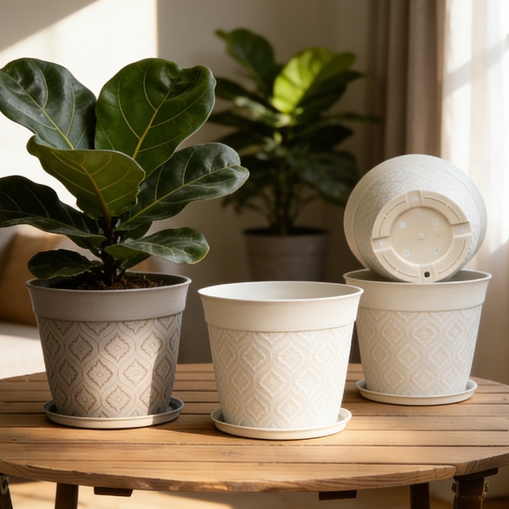Vaso de plantas com acabamento - Aloe Vera Pot avaliação e preço