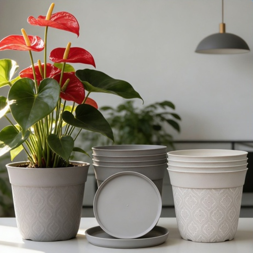 Vaso de plantas com acabamento - Aloe Vera Pot avaliação e preço