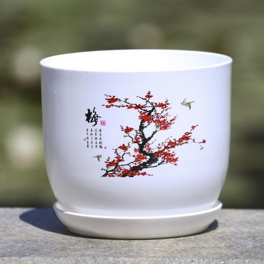 Vaso de Plástico Extra Grande  - Aloe Vera Pot avaliação e preço